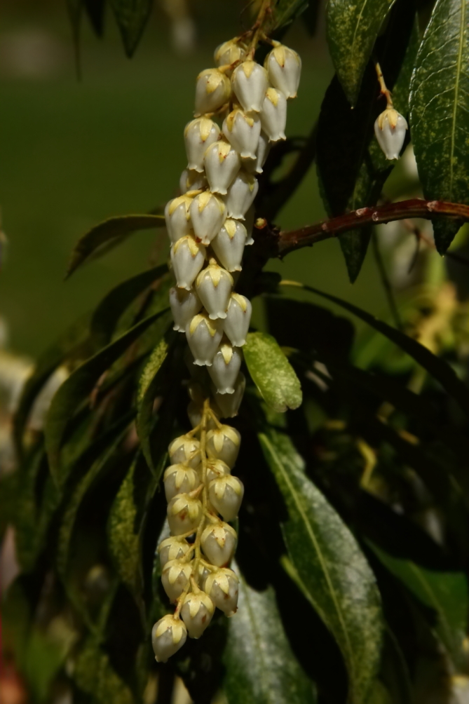 2012 04 06 9999 12
